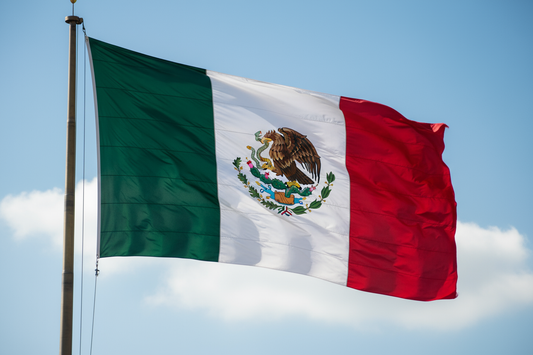nylon mexican flag flying in the wind