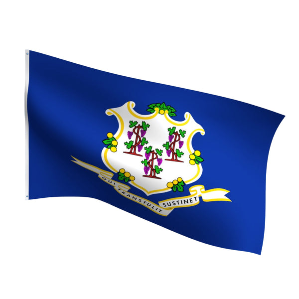 Flag of Connecticut against a blue sky with white clouds