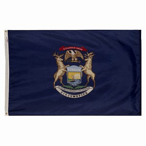 American Flag + Michigan Polyester Flag Bundle