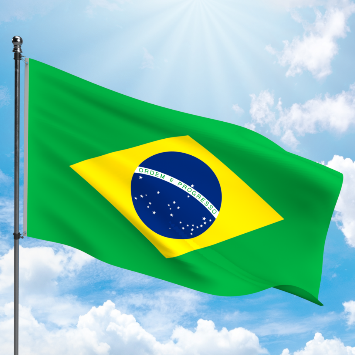 Picture of BRAZIL FLAG