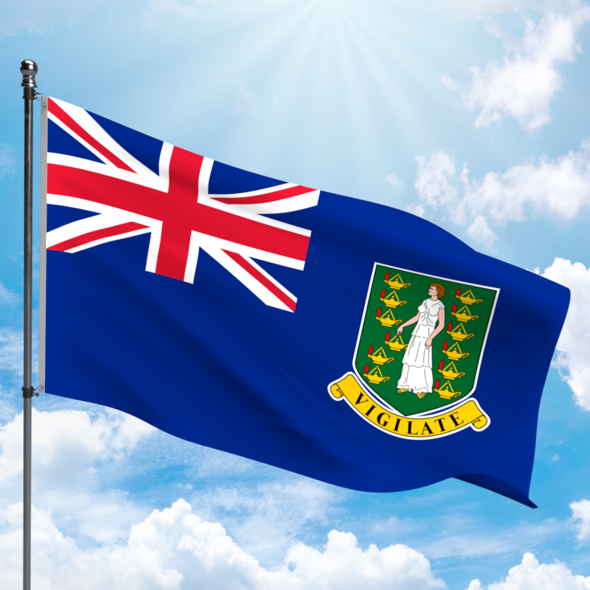 Picture of BRITISH VIRGIN ISLANDS FLAG