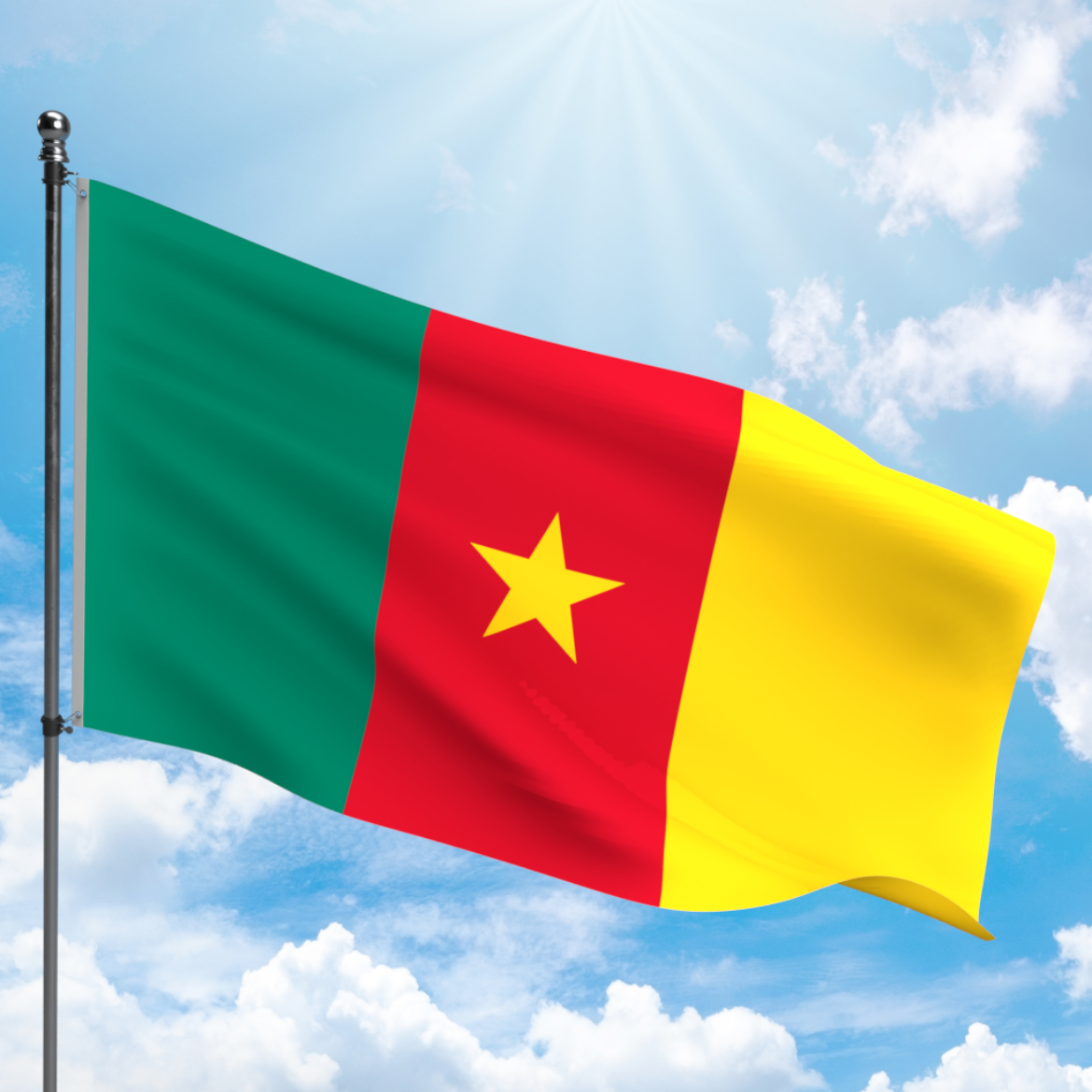 Picture of CAMEROON FLAG