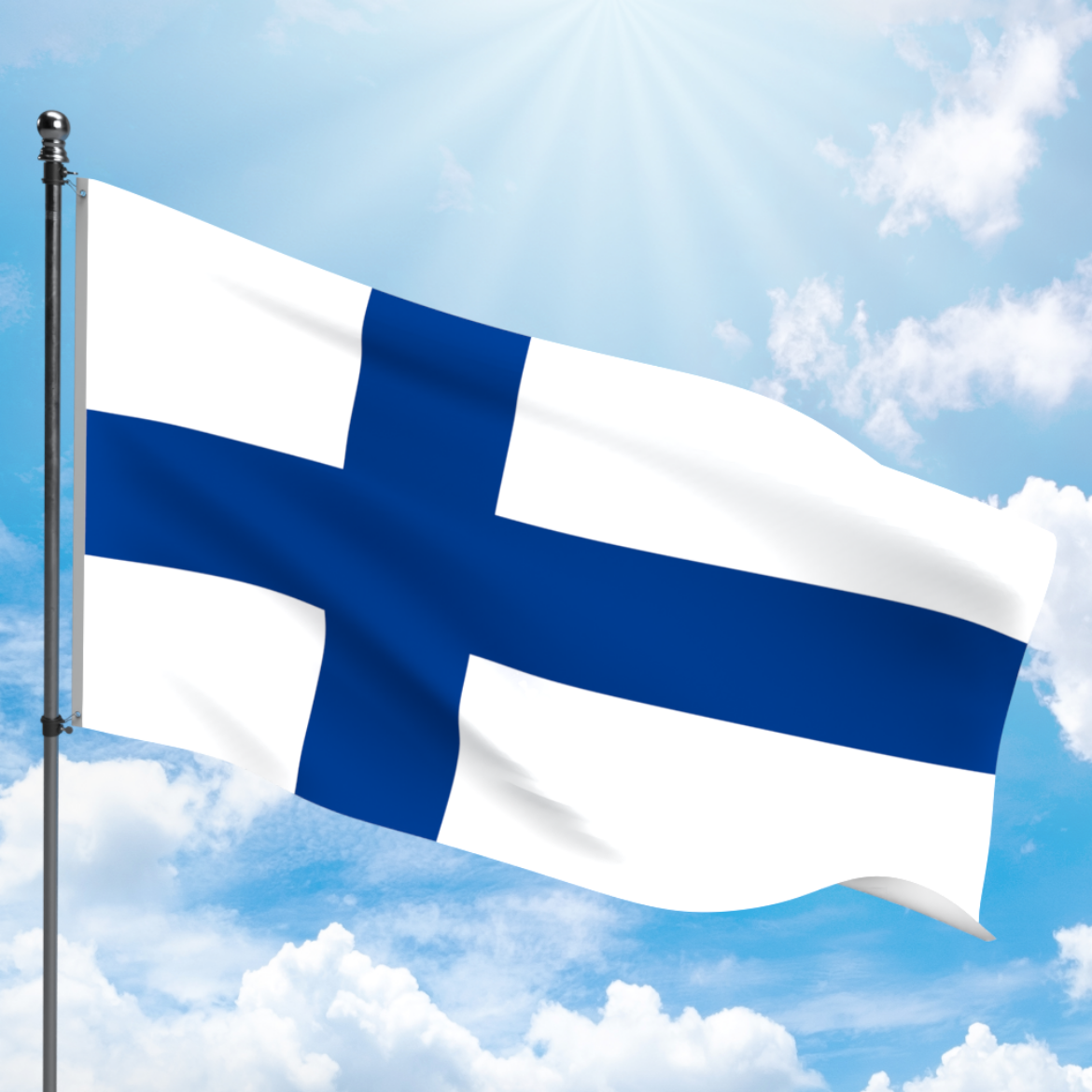 Picture of FINLAND FLAG