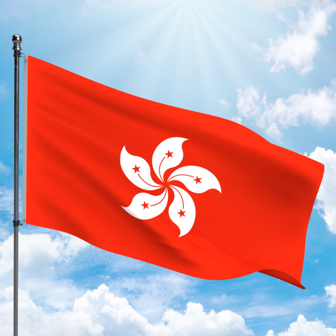 Picture of HONG KONG FLAG