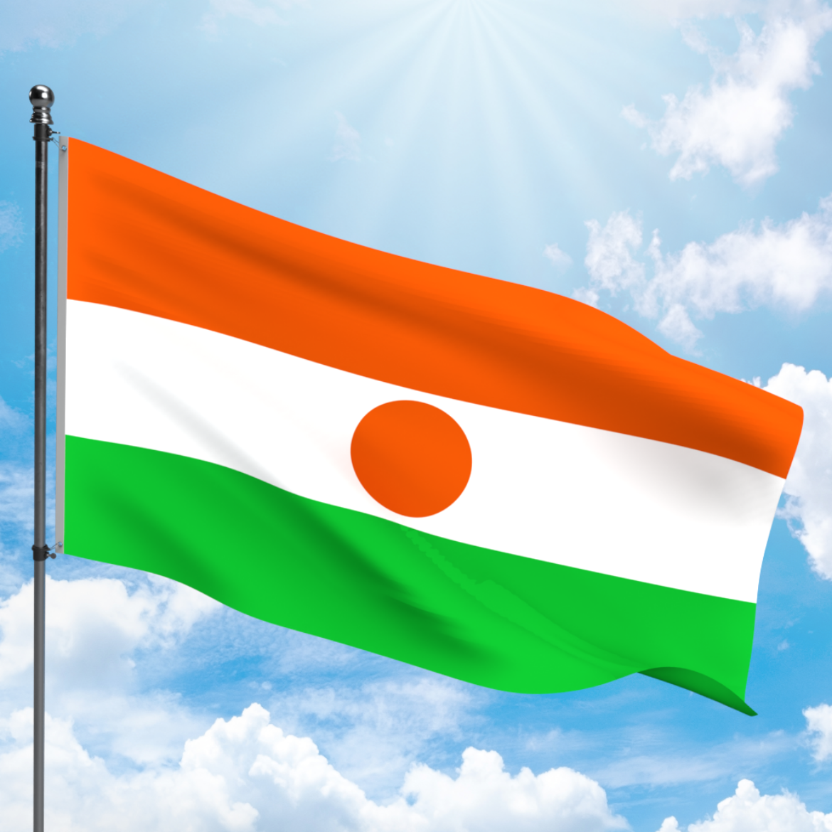 Picture of NIGER FLAG