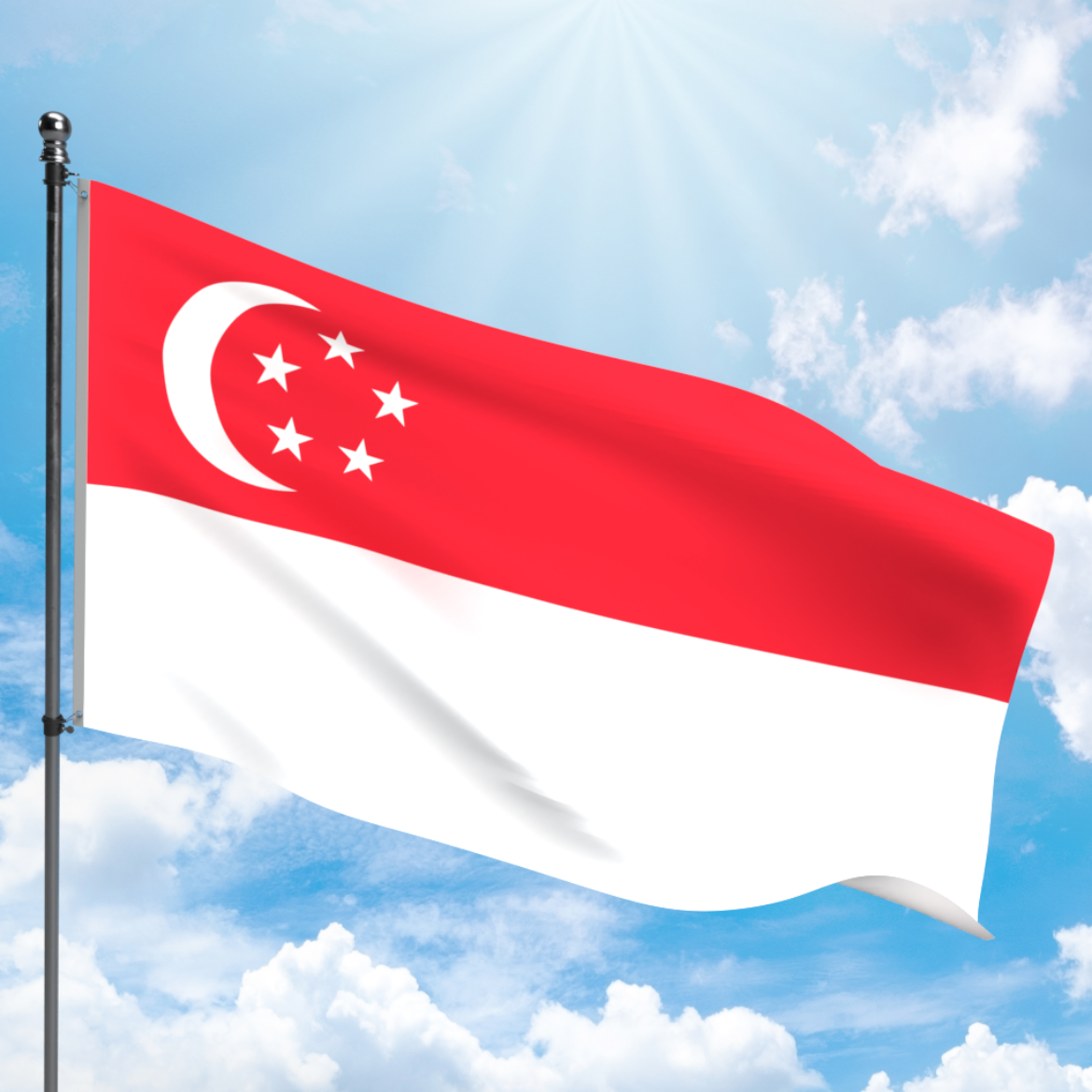 Picture of SINGAPORE FLAG