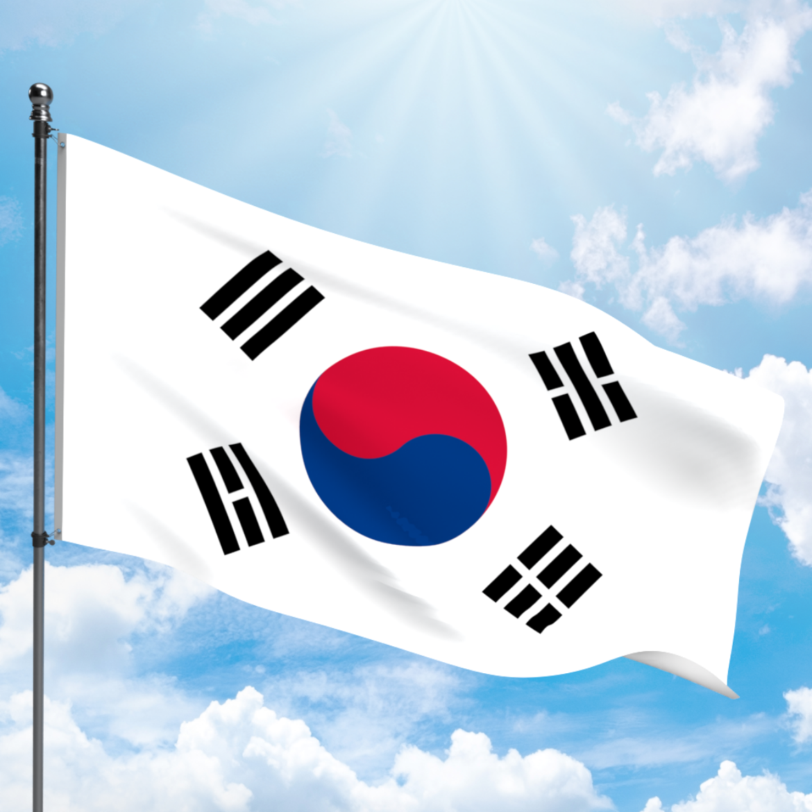 Picture of SOUTH KOREA FLAG