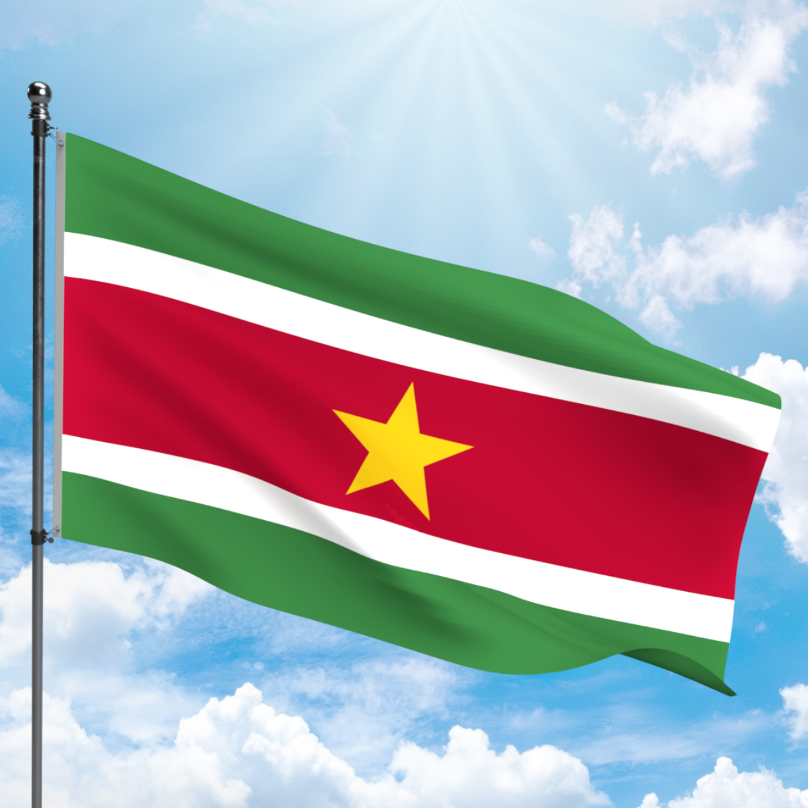 Picture of SURINAME FLAG