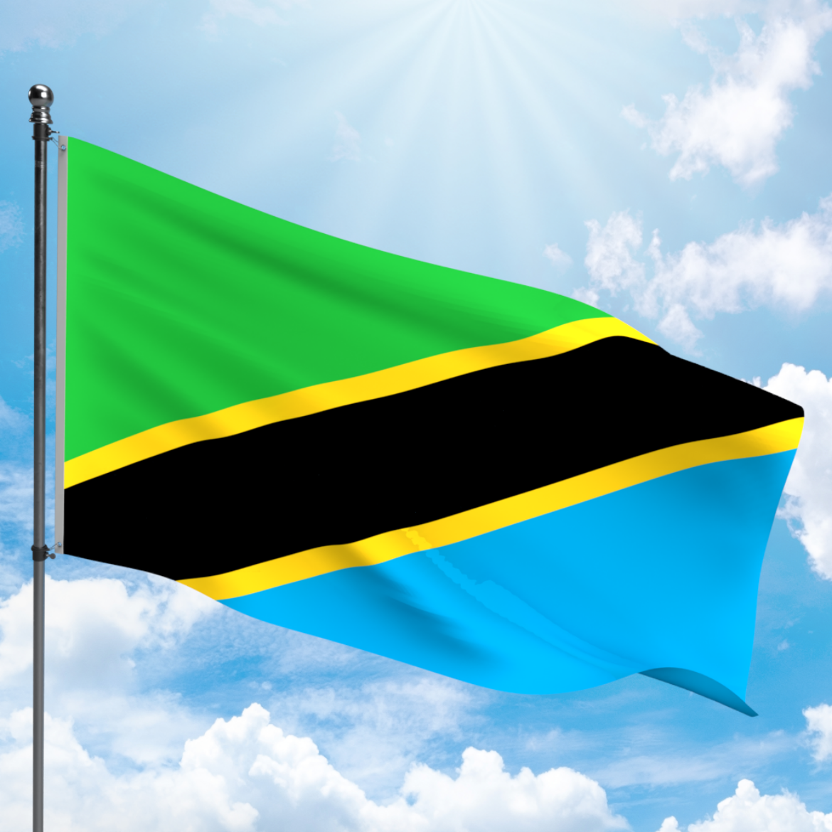 Picture of TANZANIA FLAG