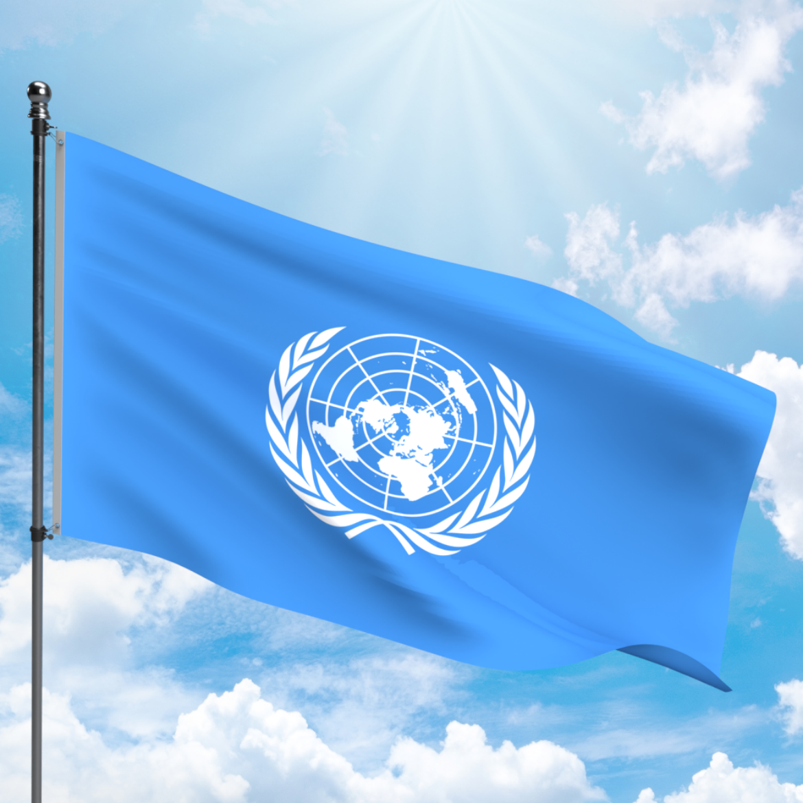 Picture of UNITED NATIONS FLAG