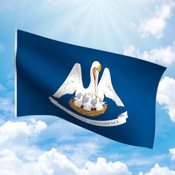 Louisiana flag