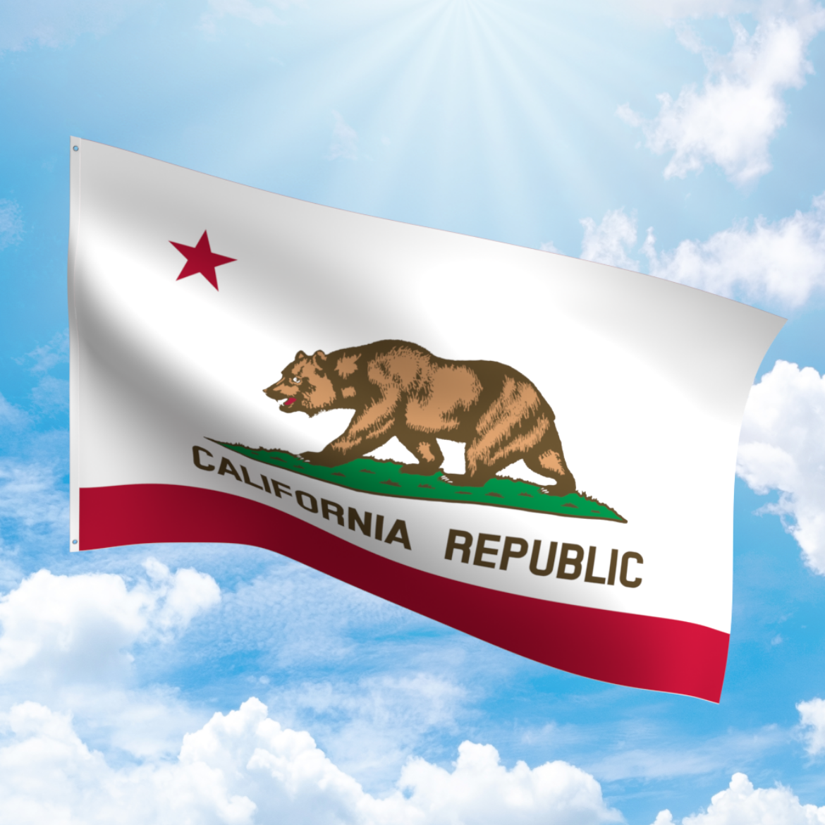 Picture of CALIFORNIA POLYESTER FLAG