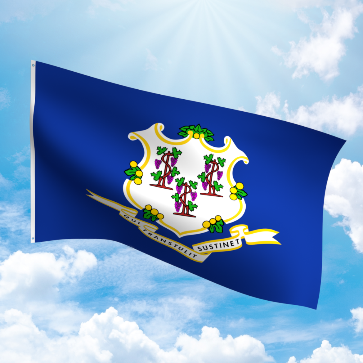 Picture of CONNECTICUT POLYESTER FLAG