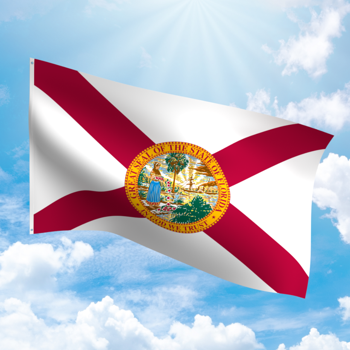 Picture of FLORIDA POLYESTER FLAG