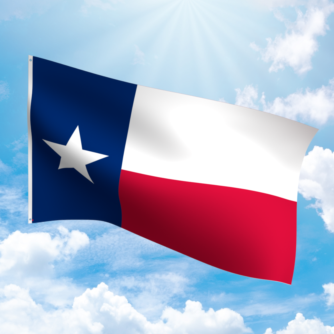 Picture of TEXAS POLYESTER FLAG