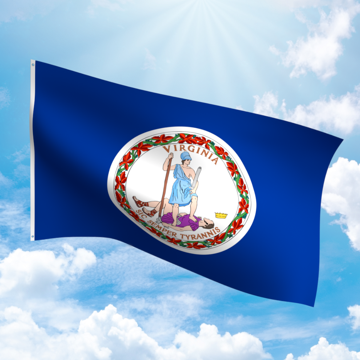 Picture of VIRGINIA POLYESTER FLAG