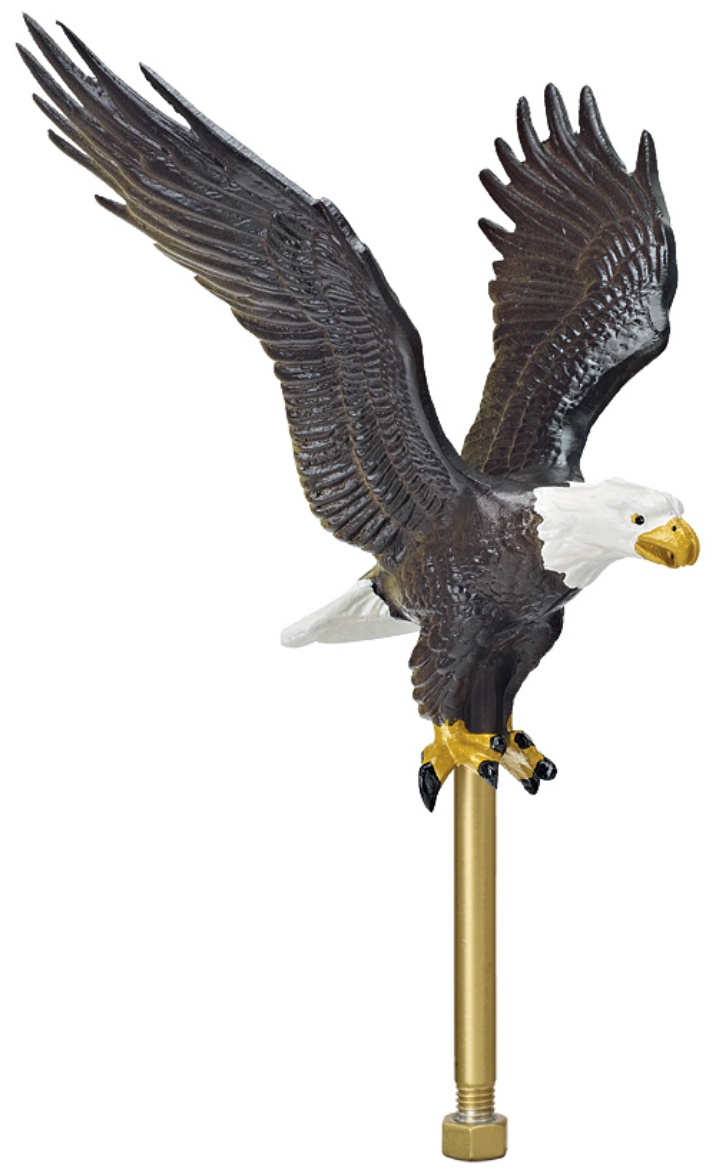 Picture of Flying Eagle - Natural Color